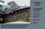 Fig.3 - Bluefish Cave II