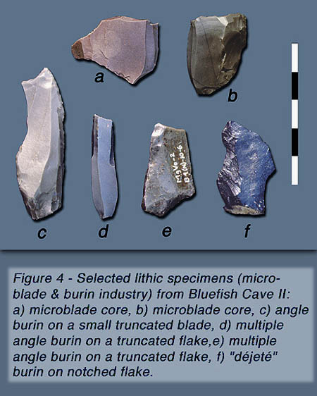 Several stone blades.