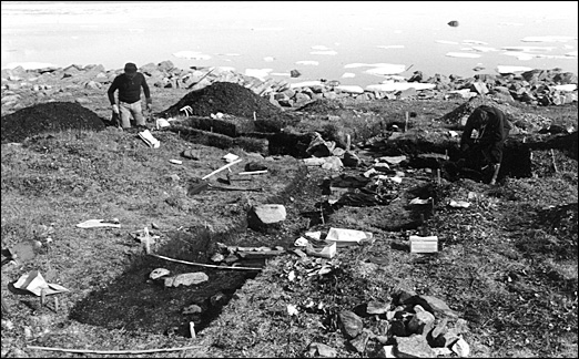 Excavation site at Nunguvik