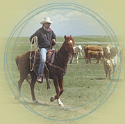 Cow-boy - K96-1227