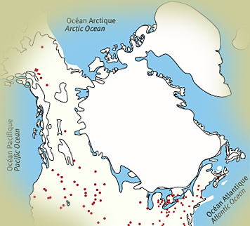 Map - Late Glacial - Courtesy of Richard Morlan