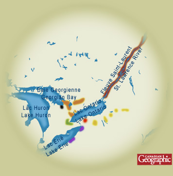 Carte - Partie infrieure des Grands Lacs / Valle du Saint-Laurent - Canadian Geographic