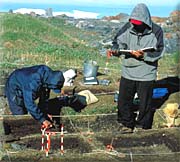 Excavation at Nunguvik -Photo: Lee Narraway