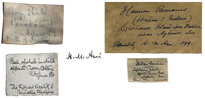 Examples of H-M Ami's handwriting; photo : Jean-Luc Pilon