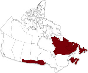 Canada Map