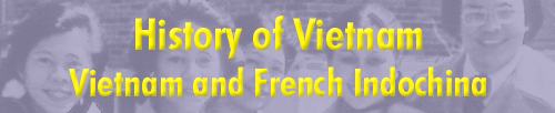 History of Vietnam - Vietnam and French Indochina
