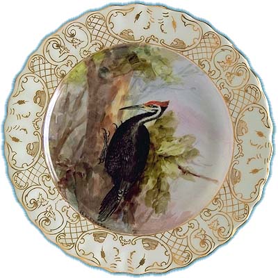 Pileated Woodpecker - PCD 3729-001