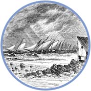 Mackerel Boats