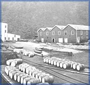 Whaling Station - 
National Archives of Canada - C-75424