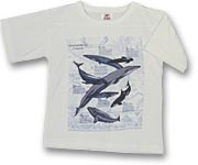 T-shirt - 
1999.194.8 - CD2000-34-012