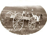 Yoked oxen in Saint-Antonin, Qubec, 1918., © CMC/MCC, 43387