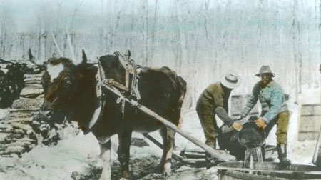 Emptying the sap into the barrel at Vincent Lessard's sugar camp, Beaupr, Qubec, 1919., © CMC/MCC, J.G. Morel, 79218 ls