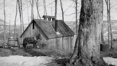 Man with horse and cart beside a sugarhouse, Qubec, 1926., © CMC/MCC, Frank Oliver Call, PR2002-9