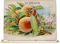 Cigar box label : The Peach