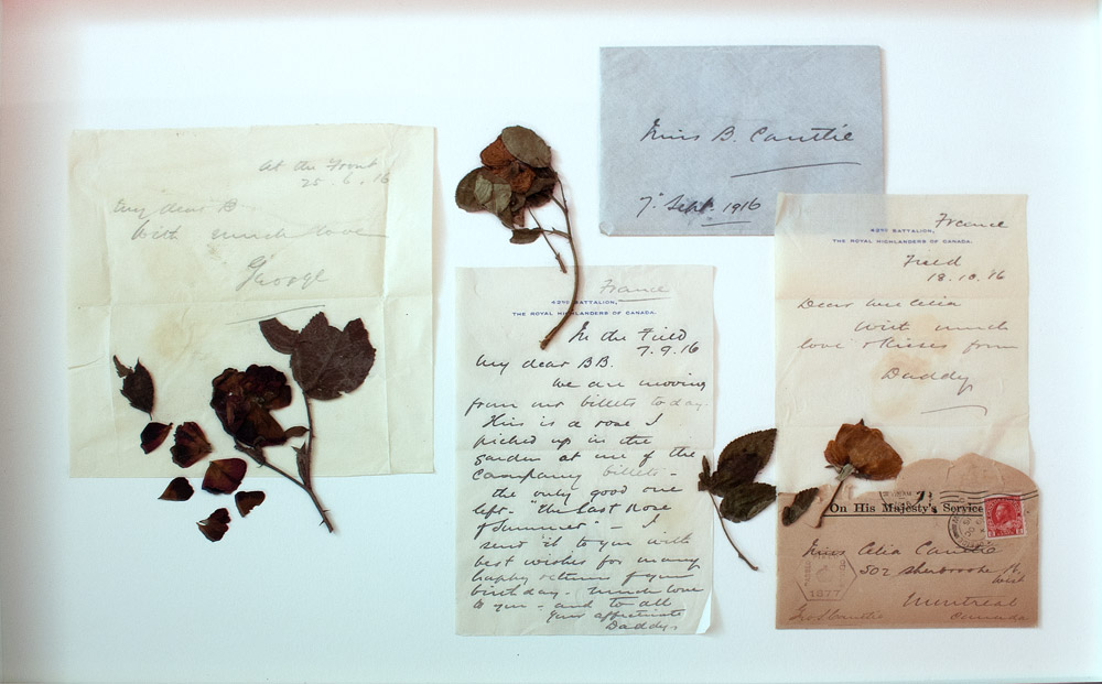 Several old letters and dried flowers