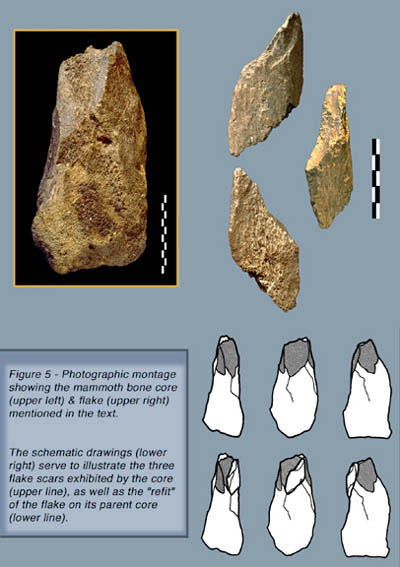 Part of a mammoth bone core.