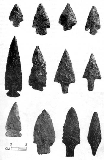 Twelve different spearheads.