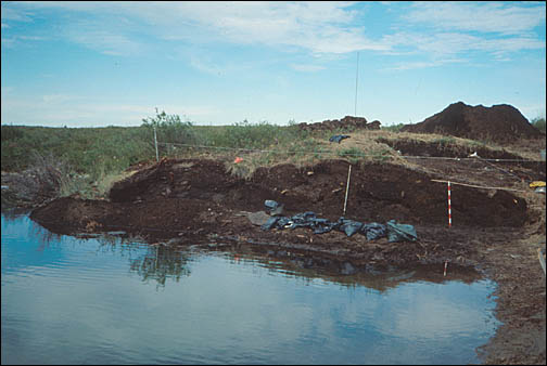 A cross section dig out on the waterfront.