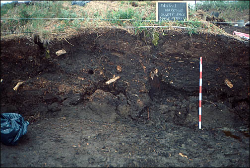 Close up of a dugout.
