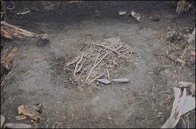 A pile of twigs, leaves and grass
