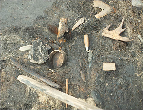 Some preserved bone tools at an archaeological site.