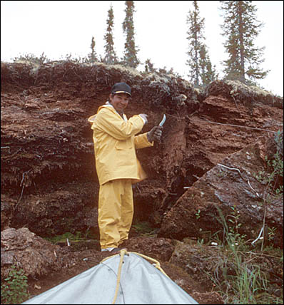 Man standing near a stratified section of peat deposit.