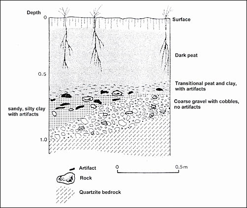 Drawing displaying the different levels of a swamp and where the artifacts are found.