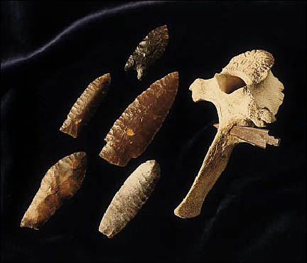 Multiple projectile points.