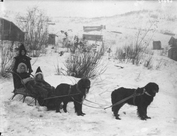 Trois enfants dans un traîneau à chiens