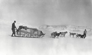 Two men on a dogsled