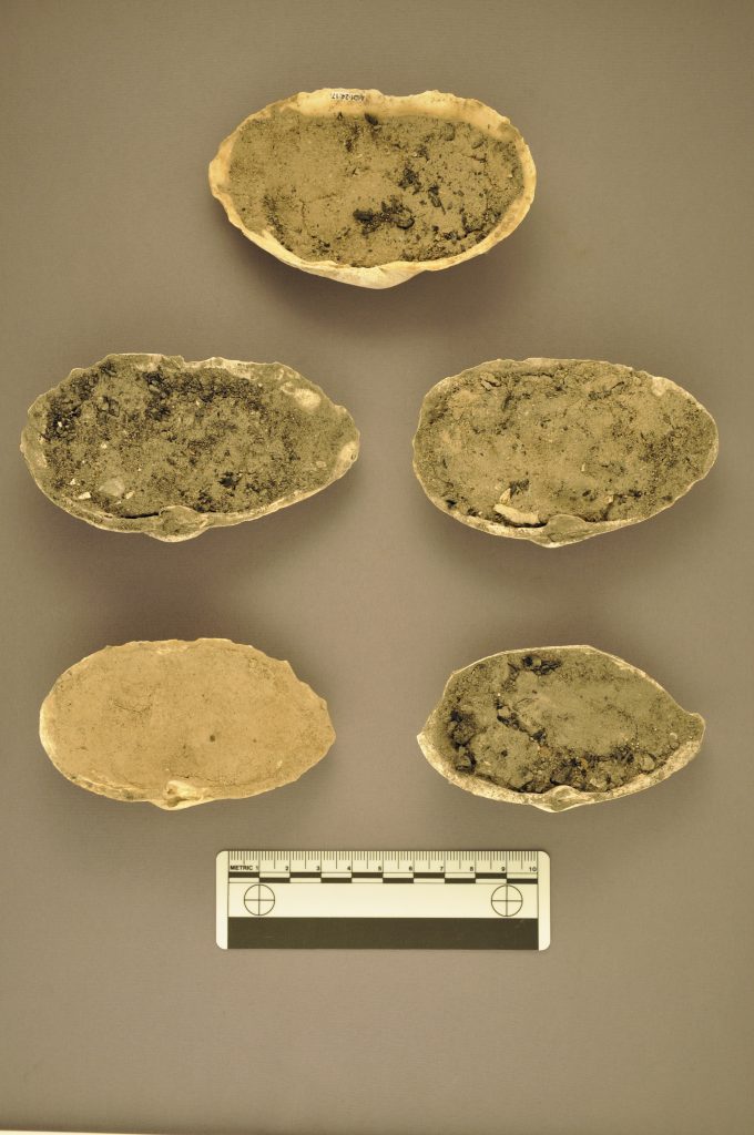 3)Clay-lined spark holders recovered during excavations in 2010. These are the only known spark-holders ever found in the Atlantic Provinces. Canadian Museum of History, Photo: Matthew Betts