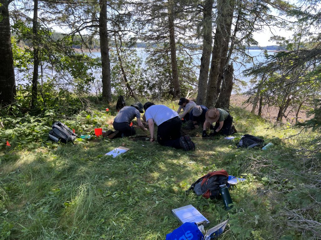 Students begin to dig at the Sipp site, in Maine. Notice the proximity to the ocean.