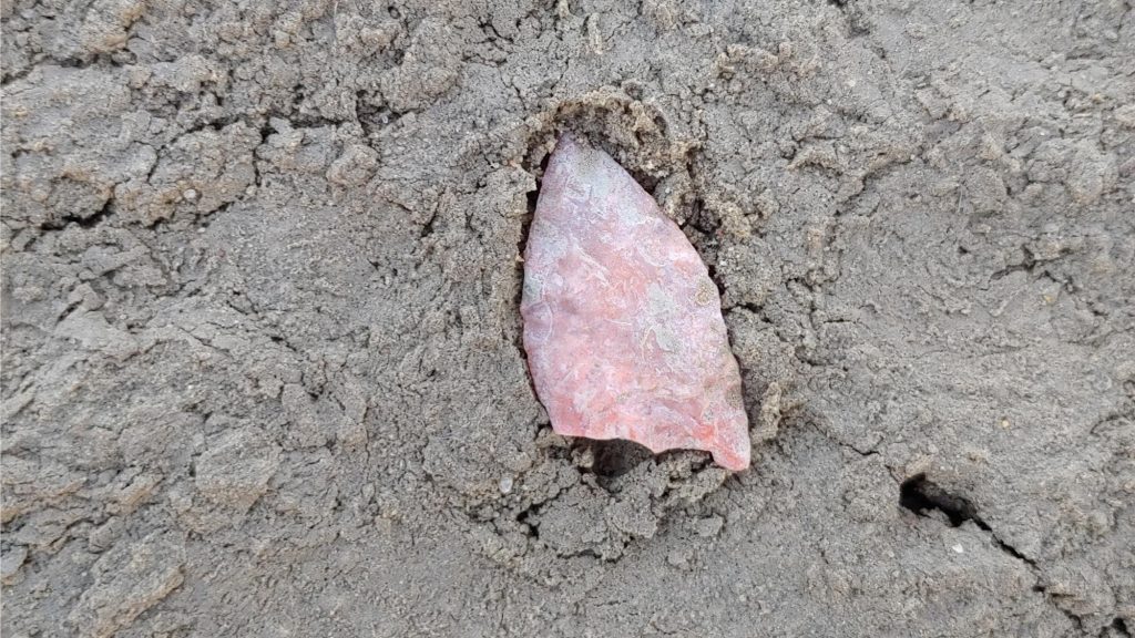 Stone tools like this reworked fluted point, found at Wally’s Beach in 2019, are hallmarks of peoples who lived across much of North America 13,000 years ago.