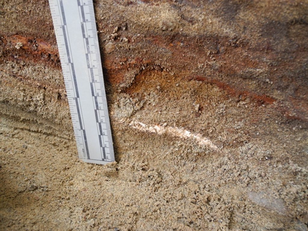 Close-up of a patch of red sand found on the coffin surface 