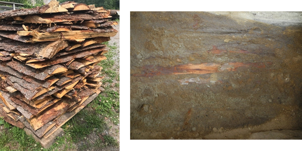 Pine log squarings from the production of wooden planks at the 19th century Beach’s Sawmill, Upper Canada Village (Young, 2023) The inside base of a Barrack Hill Cemetery coffin after the skeletal remains were removed, showing an interior of bark and sap wood (Young, 2017) 