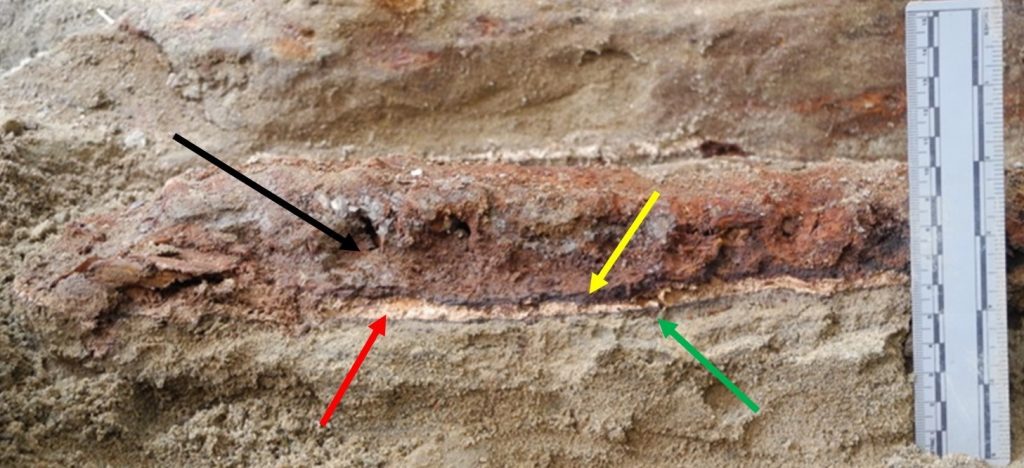 Compressed stratified cross-section of burial showing oxidized coffin plate (black arrow), coffin lid wood (yellow arrow), calcite (red arrow), and coffin floor wood (green arrow). The skeletal remains were found beneath the coffin lid layer. 