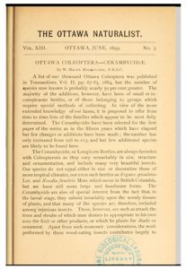 Ottawa Naturalist publication discussing pine sawyer beetles active in the Ottawa area in the late 19th century