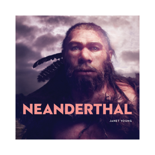 Neanderthal Official Catalogue