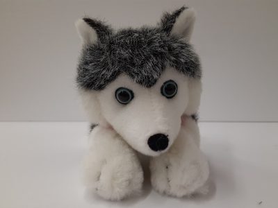 Husky Plush Toy
