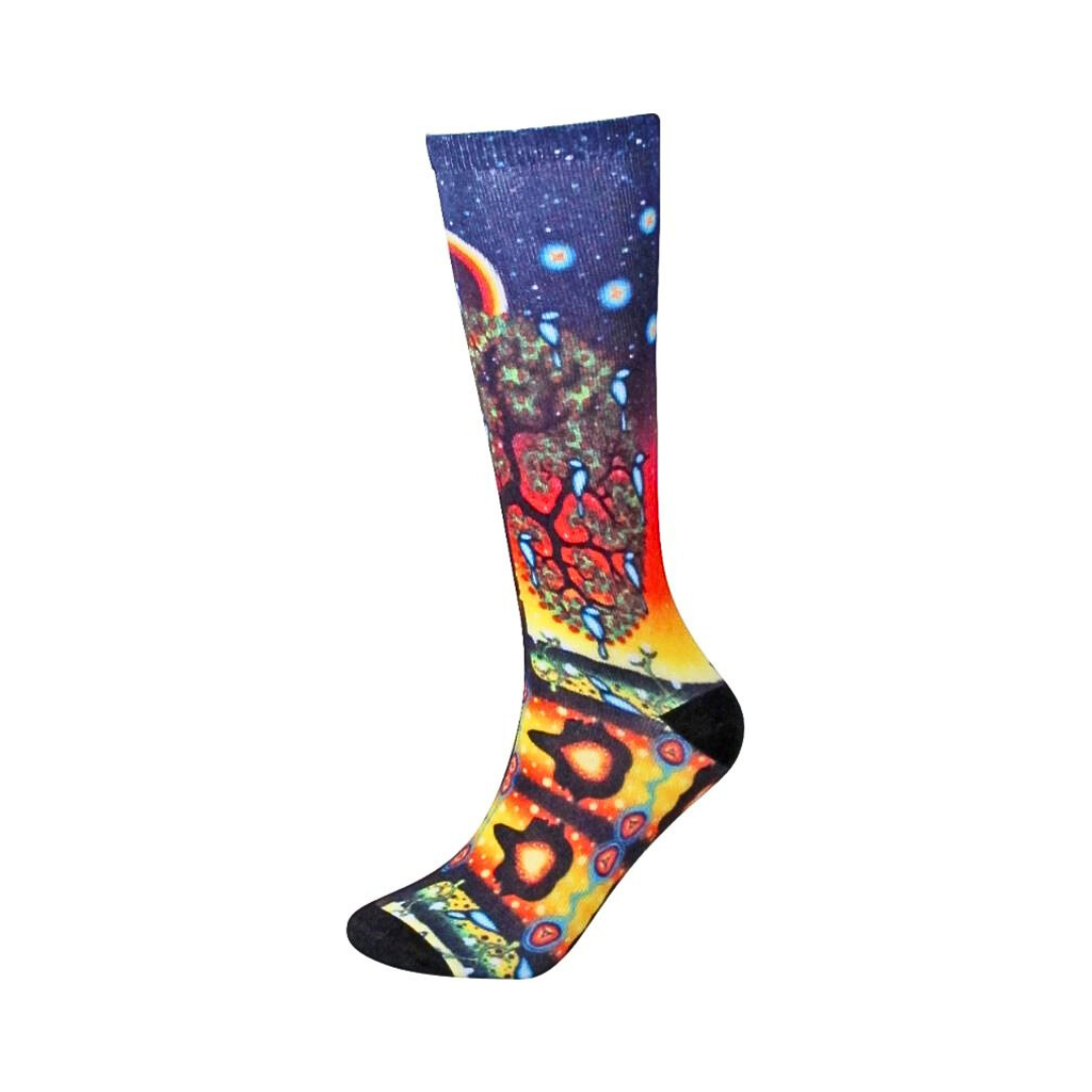 600780_SOCK-TREE LIFE-JACKO Tree of life socks by James Jacko