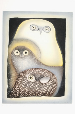 Owls in Moonlight