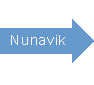 Go to Nunavik