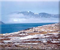 Northern Labrador - 
Photo: Robert McGhee