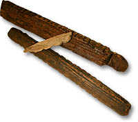 Wooden Tally-stick Fragments - 
Photo: Pat Sutherland