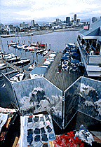 View from the artist's
former studio