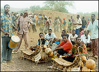 Bwaba instruments / Photo: DPC, Burkina Faso