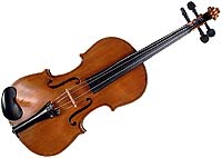 Fiddle - CMC no. 81-130 / Photo: Harry Foster