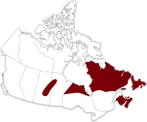 Canada Map