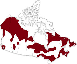 Canada Map