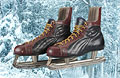 Maurice Richard's hockey skates.
